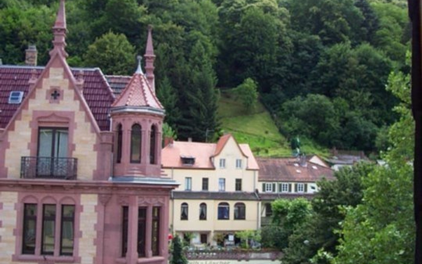 Blick aus der Gaube - Außergewöhnliche, großzügige 2,5-Zimmer-Dachgeschosswohnung im Herzen der Heidelberger Altstadt