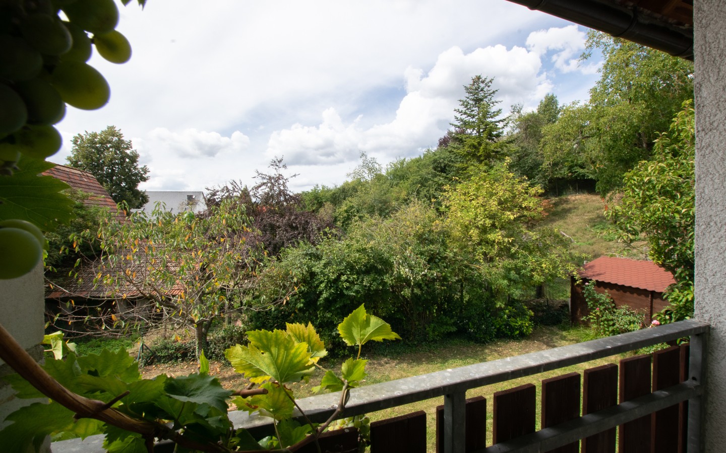 Ausblick Balkon - Platz für die ganze Familie! Großzügiges Wohnhaus mit Einliegerwohnung und idyllischem Garten