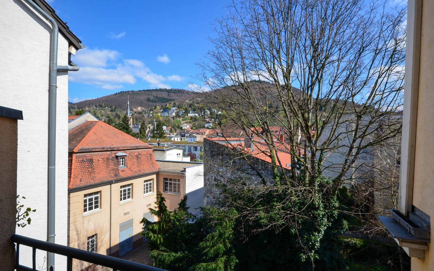 2. Balkon - Traumhaft schöne Fünfzimmerwohnung in Heidelberg-Neuenheim