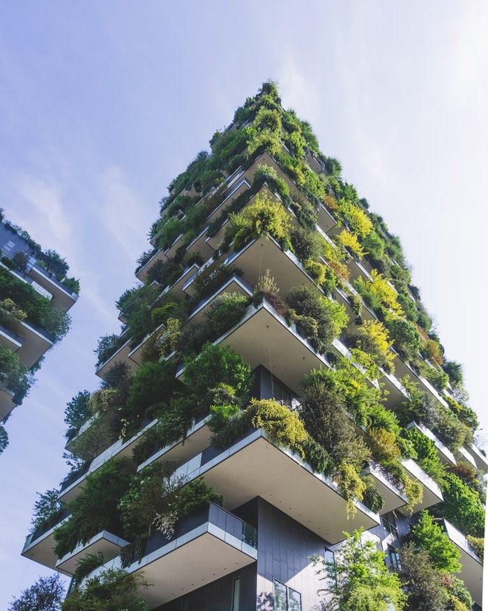 Grüne Flächen in Köln und Berlin schaffen: WvM Immobilien, Ihr Experte für grüne Großstädte
				