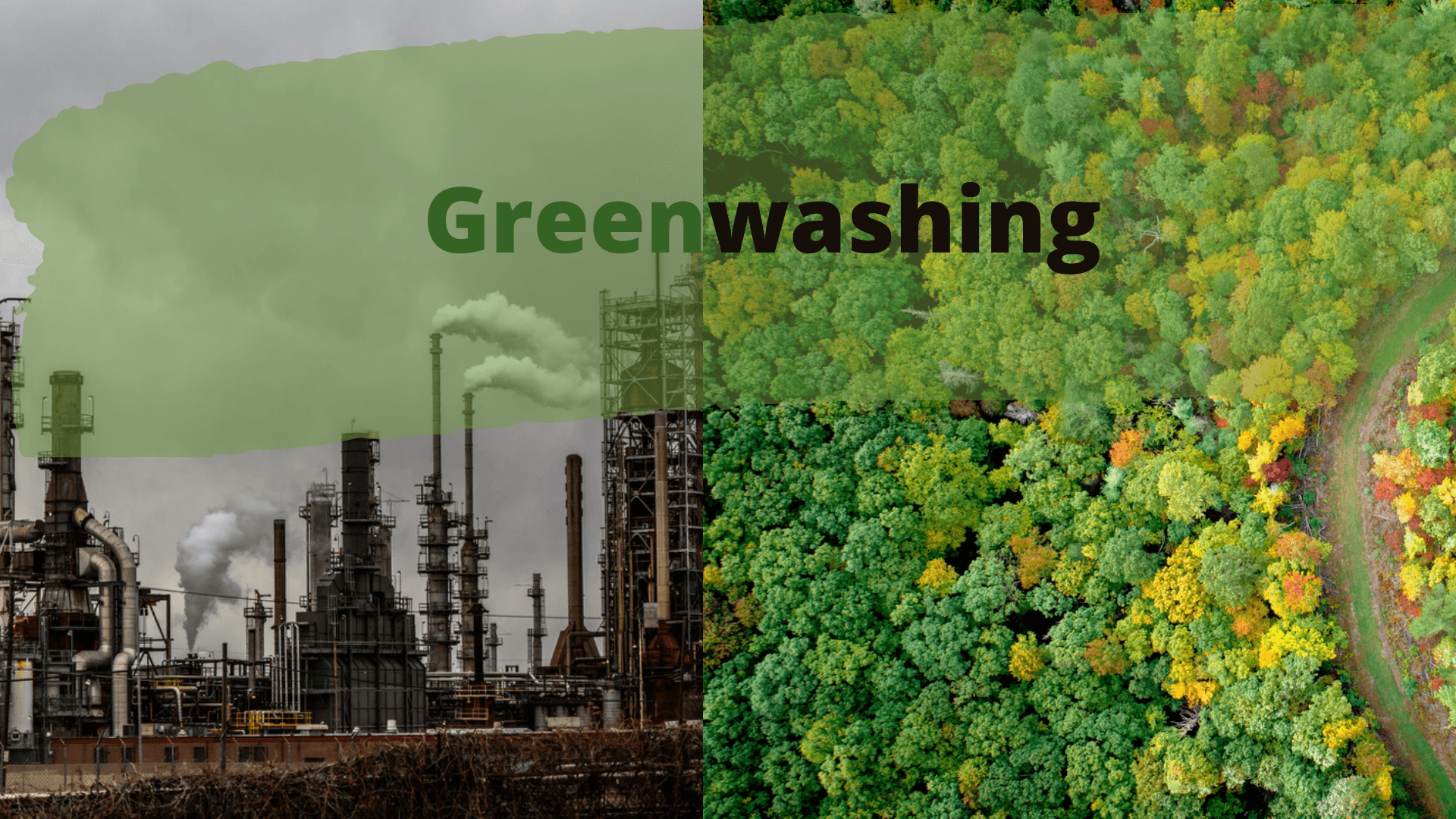 greenwashing.png
		