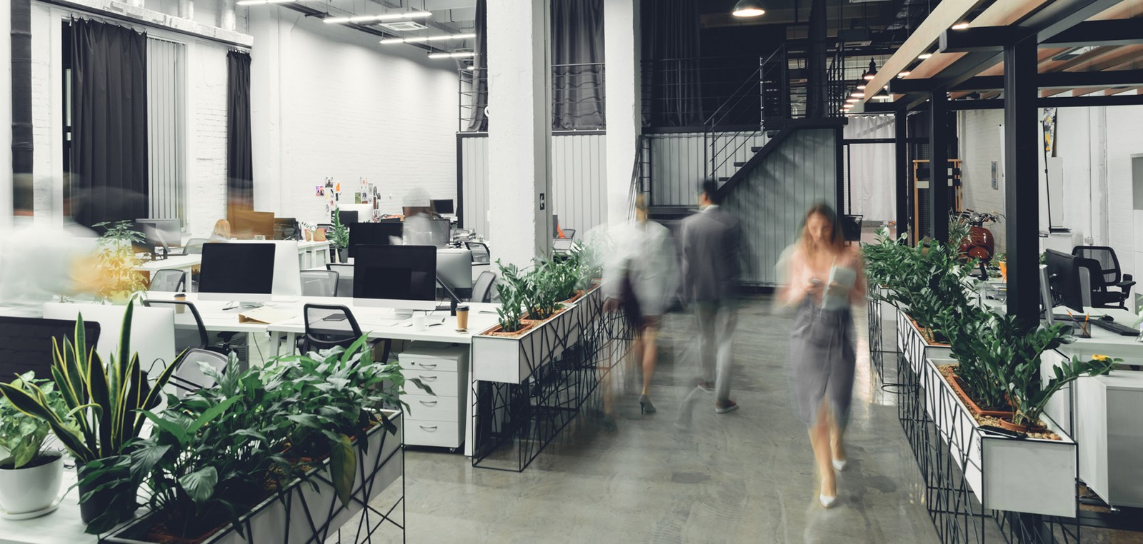 Die Ausstattung der Bonner Büros ist modern, nachhaltig und flexibel 