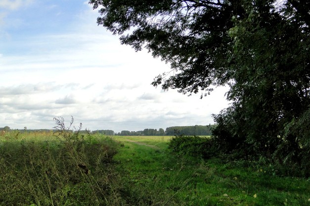 Das Worringer Bruch ist ein Naturschutzgebiet ganz im Norden Kölns. Schaut man es sich auf einer Landkarte an, ist eine deutliche Hufeisenform zu sehen.