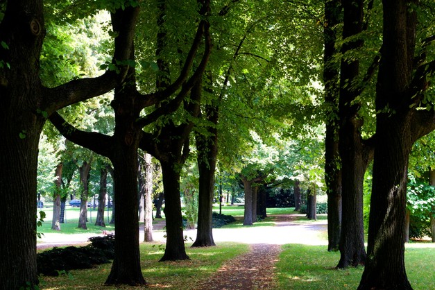 Das Nippeser Tälchen, der Nordpark und der Johannes-Giesberts-Park haben übrigens Freilaufflächen für Hunde ausgewiesen.