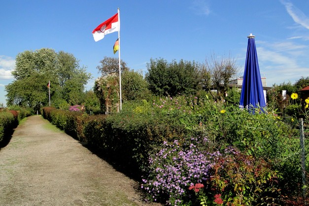 In Nippes selbst gibt es drei Kleingartenanlagen. Den Anfang macht der Kleingärtnerverein Flora e. V., der sich bis zur Escher Straße entlang zieht.