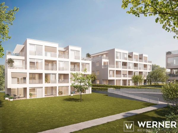 wh9rh9w-3 - Immobilienmakler in Heilbronn