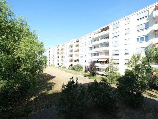 Helle 1,5-Zimmer-Wohnung mit Balkon in Heidelberg-Rohrbach - Ihr Immobilienmakler in Heidelberg