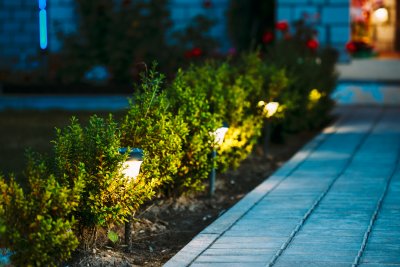 Hassel-Immobilienmakler_in_Zuelpich_1659435068_photodune-19780511-night-view-of-flowerbed-with-flowers-illuminated-by-energysavin-l.jpeg