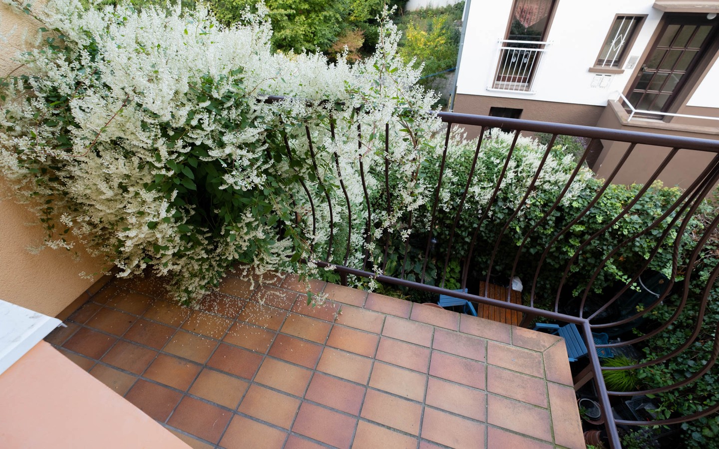 Balkon 1. OG - Kapitalanlage + Eigennutzung: Gepflegtes 3-Familienhaus mit Garten und bezugsfertiger Wohnung