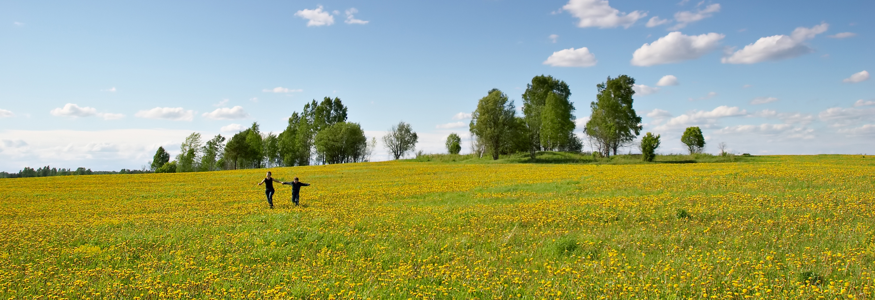 Personen laufen über eine grüne Wiese
					©AdobeStock_798386kleiner_Oleg Kozlov
				