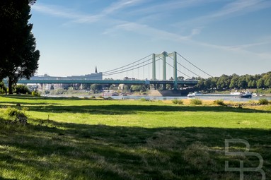Rodenkirchenerbrücke
				