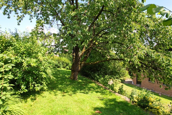 idyllischer Garten mit altem Baumbestand
				