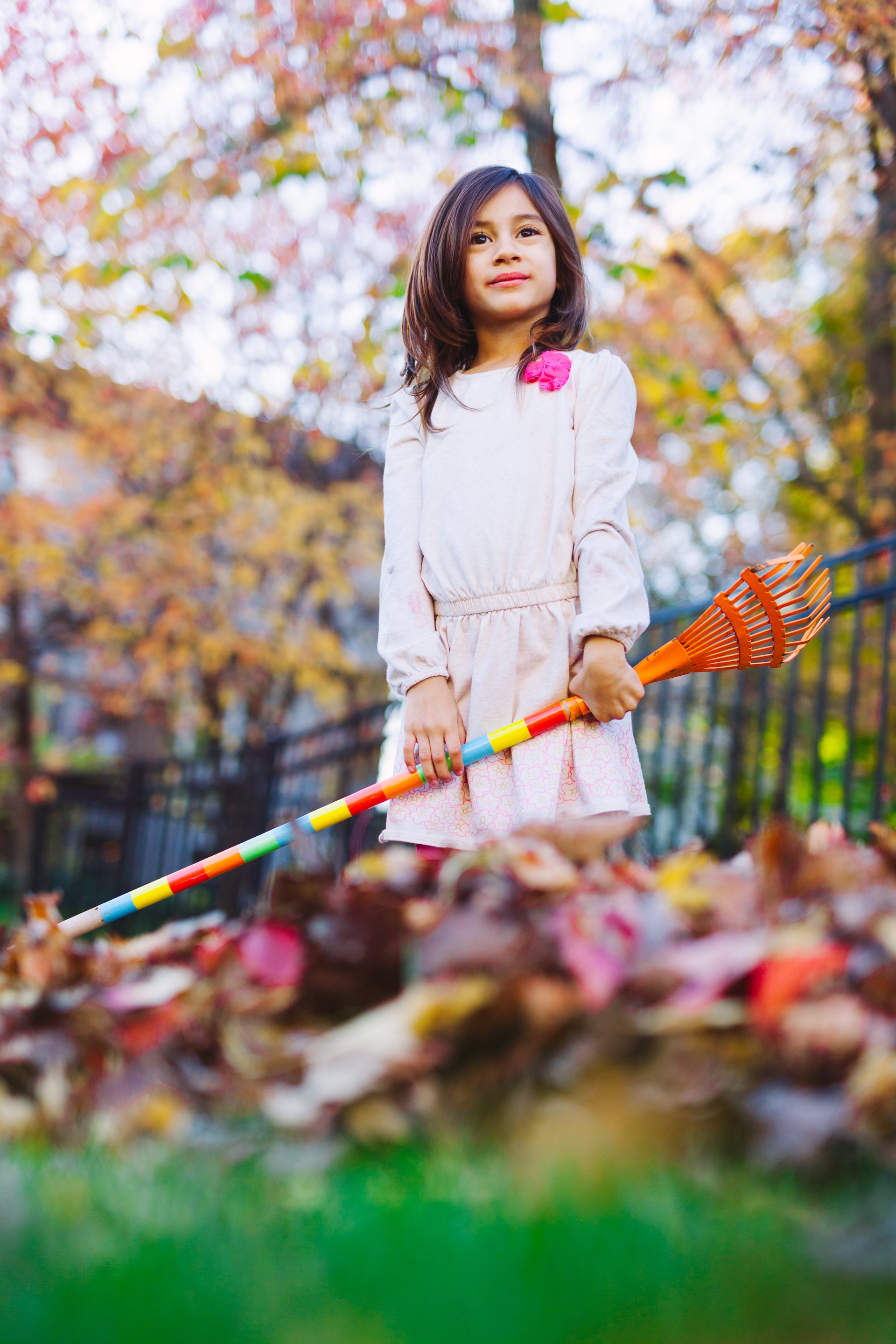 Herbstlicher Garten mit Kind - ©Joseph Gonzalez | unsplash