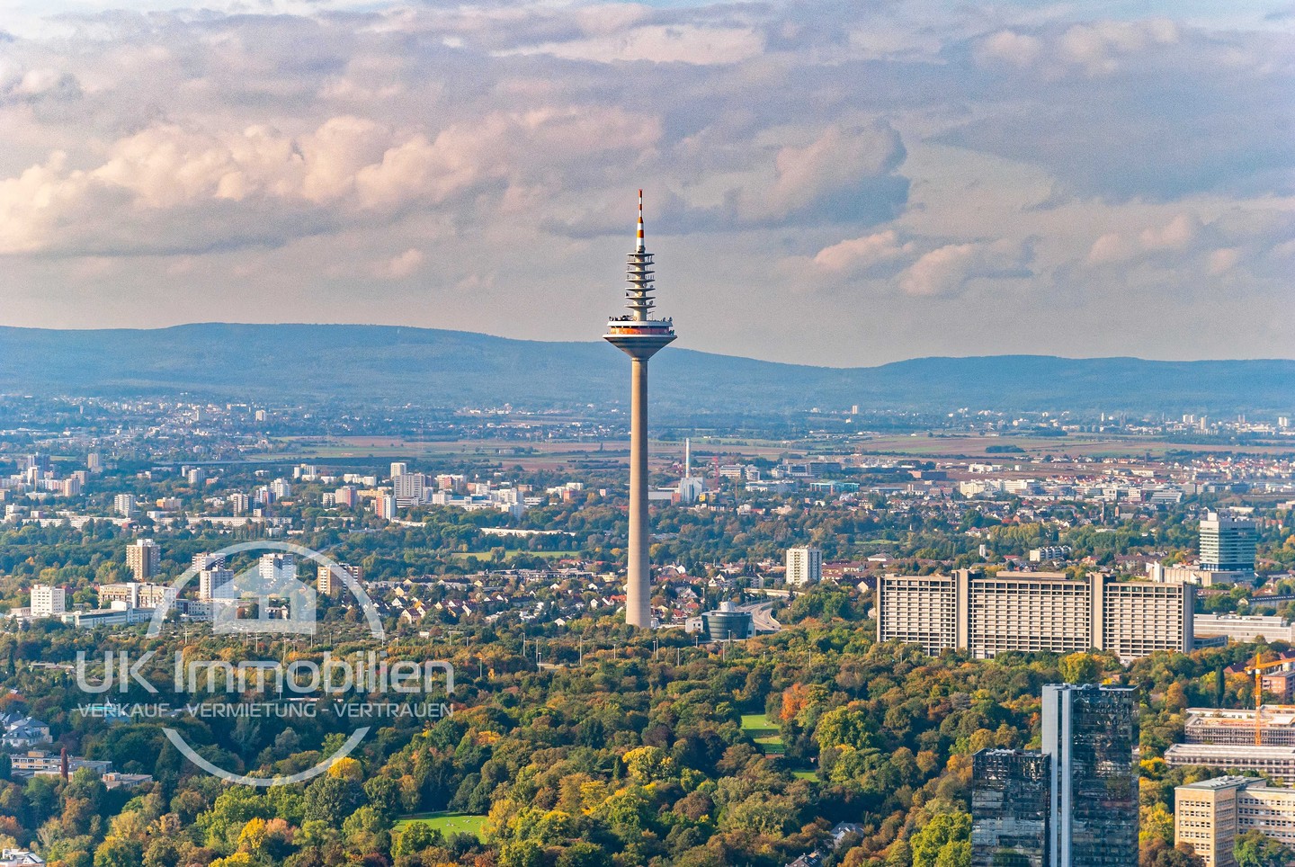 Immobilienmakler-Frankfurt-Ginnheim-Miquelanlage-Ginnheimer-Spargel-Europaturm.jpg