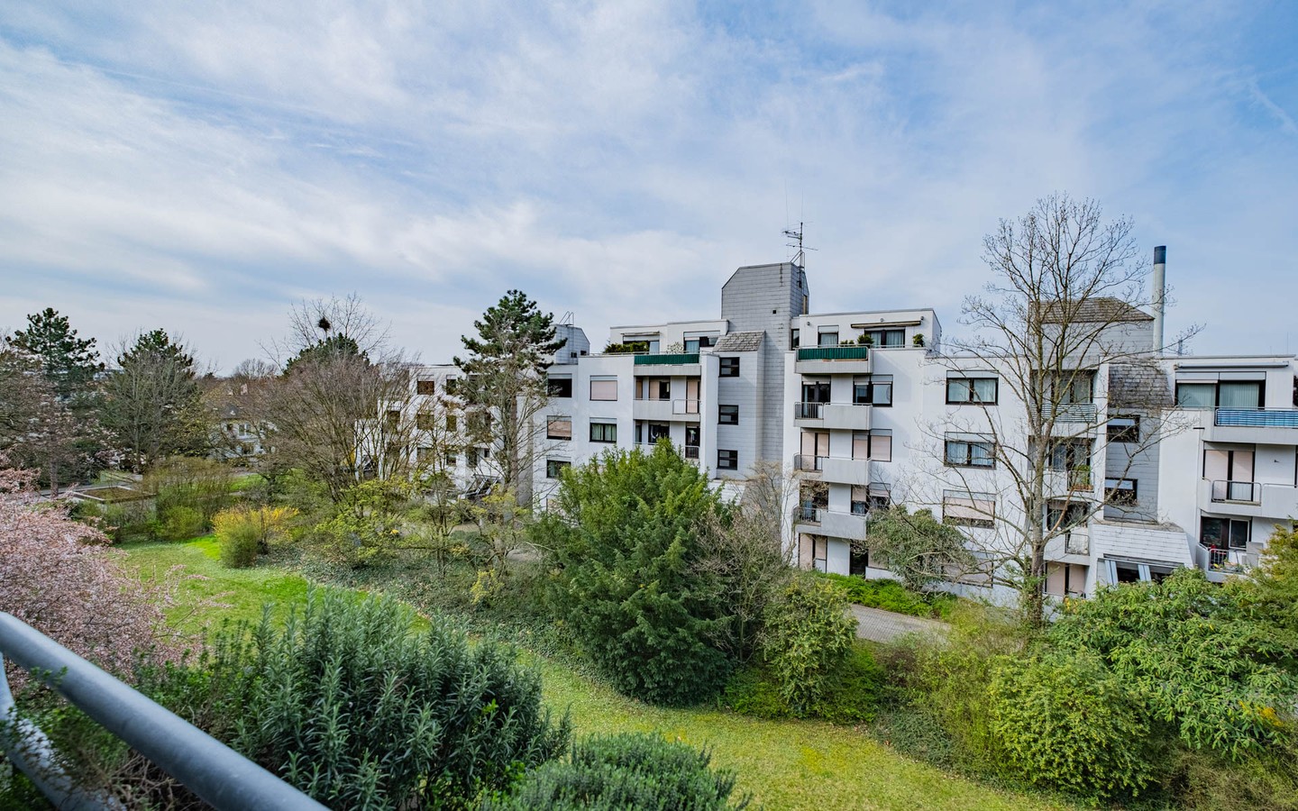 Ausblick Loggia - Rarität in Handschuhsheim: barrierefreie 2-Zimmer-Wohnung (vermietet) im 3. OG mit TG-Stellplatz
